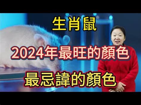 2024皮夾顏色生肖|【2024皮夾顏色生肖】2024皮夾顏色生肖大公開！助。